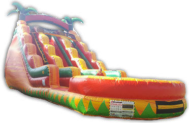 Dual Lane Tropical Fiesta Waterslide Dual Lane Tropical Fiesta Waterslide