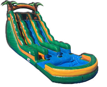 Tropical Oasis Waterslide with Pool Tropical Oasis Waterslide with Pool